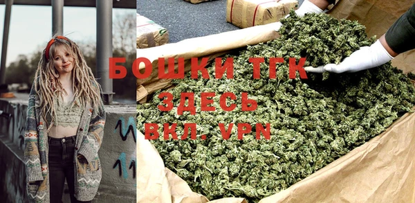 мдпв Няндома