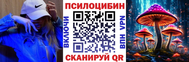 Псилоцибиновые грибы мухоморы  кракен рабочий сайт  Тбилисская  хочу наркоту 